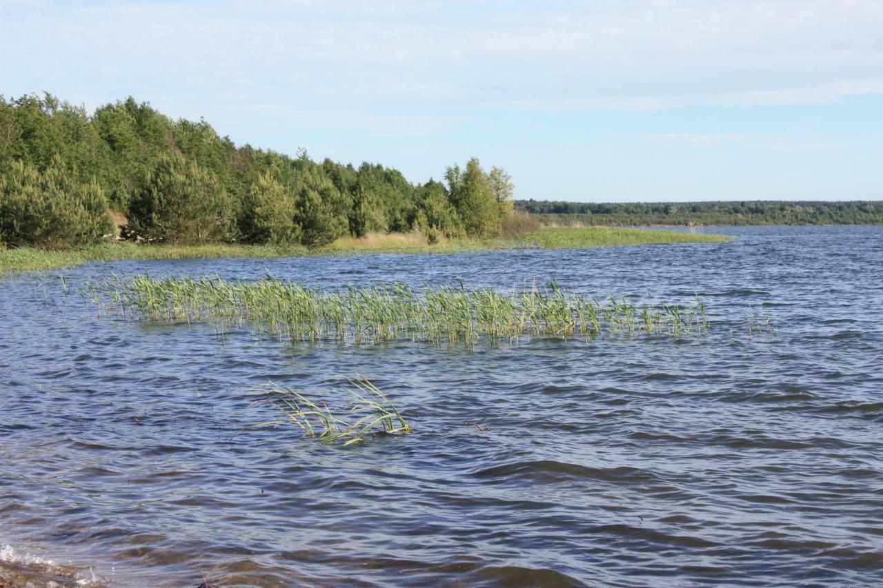 Ferienwohnungen Heideblick Grafenhainichen Bagian luar foto